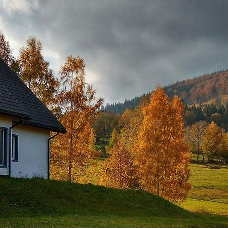 Rezydencja Ostoja Stronie Śląskie Dış mekan fotoğraf