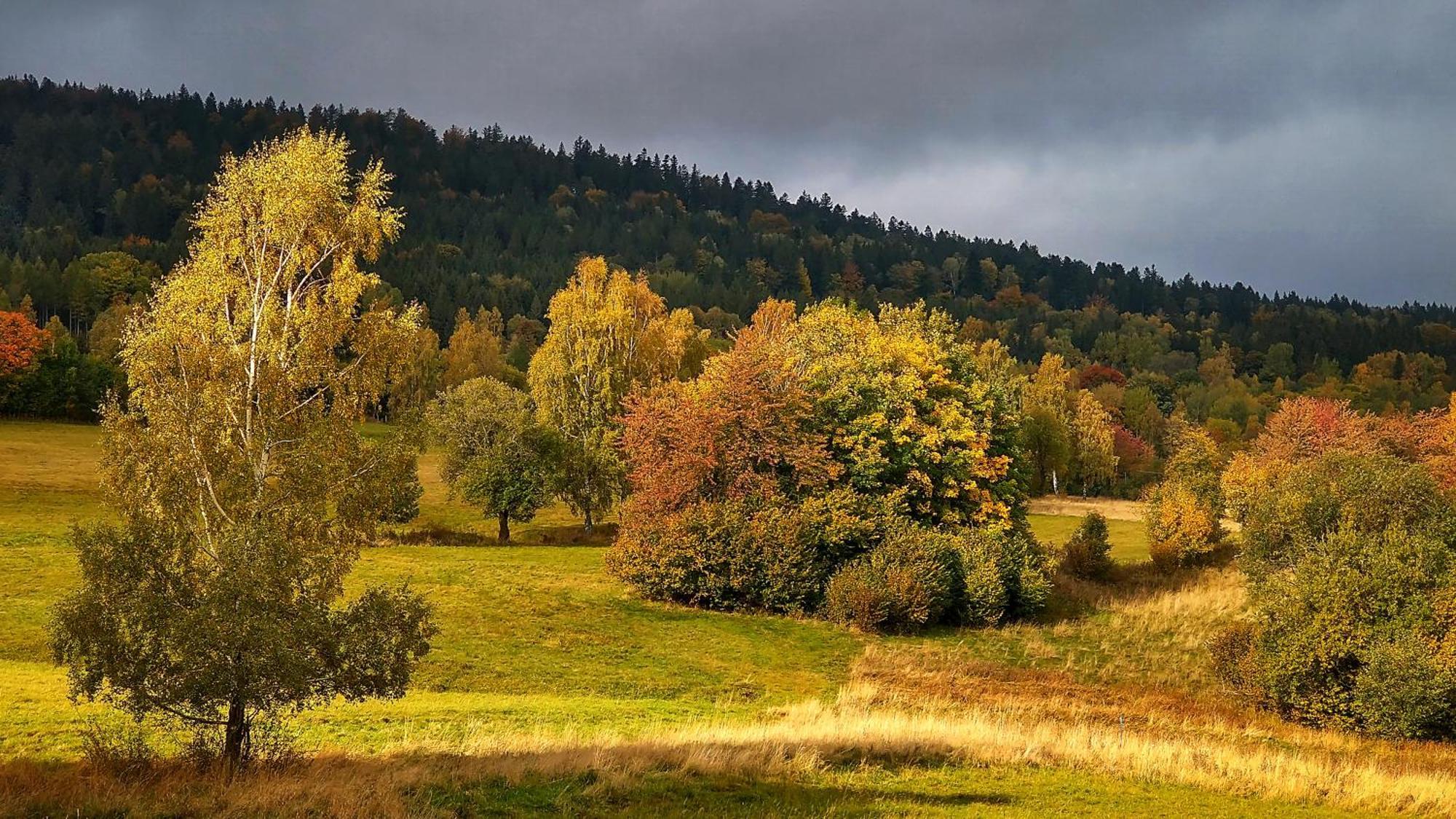 Rezydencja Ostoja Stronie Śląskie Dış mekan fotoğraf