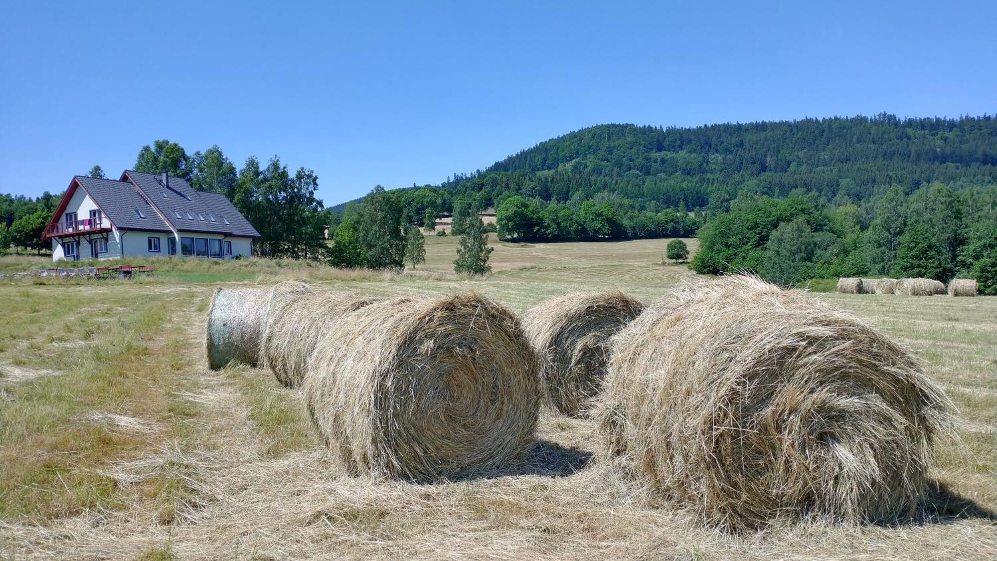 Rezydencja Ostoja Stronie Śląskie Dış mekan fotoğraf