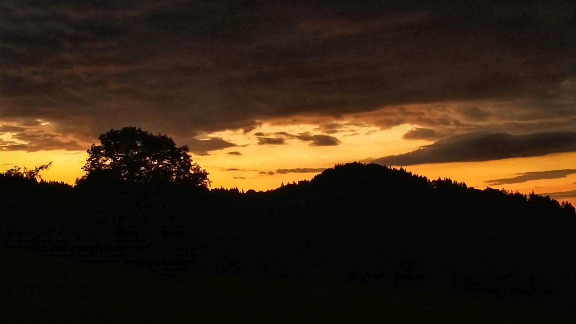 Rezydencja Ostoja Stronie Śląskie Dış mekan fotoğraf