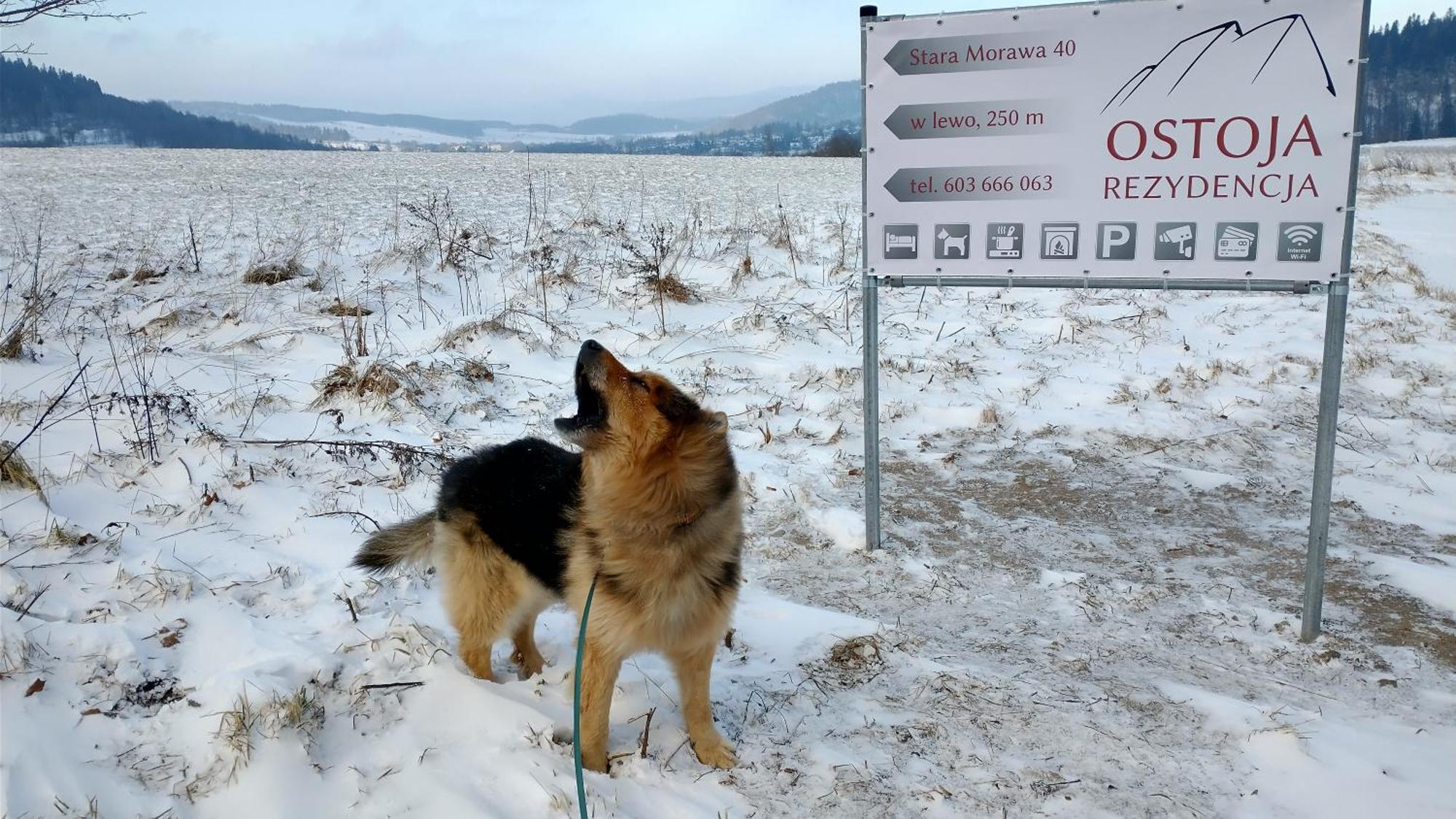 Rezydencja Ostoja Stronie Śląskie Dış mekan fotoğraf